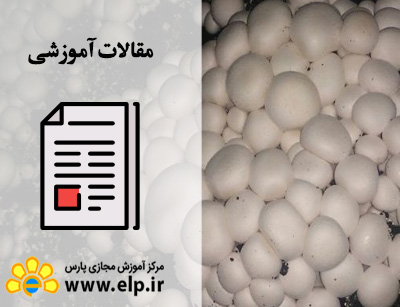 مقاله قارچ شناسی پزشکی