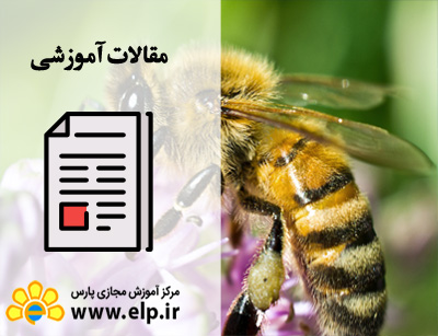 پرورش زنبور عسل