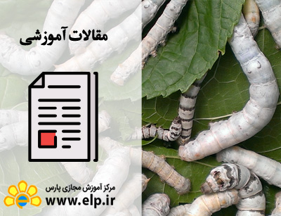 پرورش کرم ابریشم