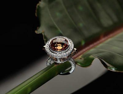 عکاسی صنعتی و تبلیغاتی شاخه جواهرات و اشیا درخشنده