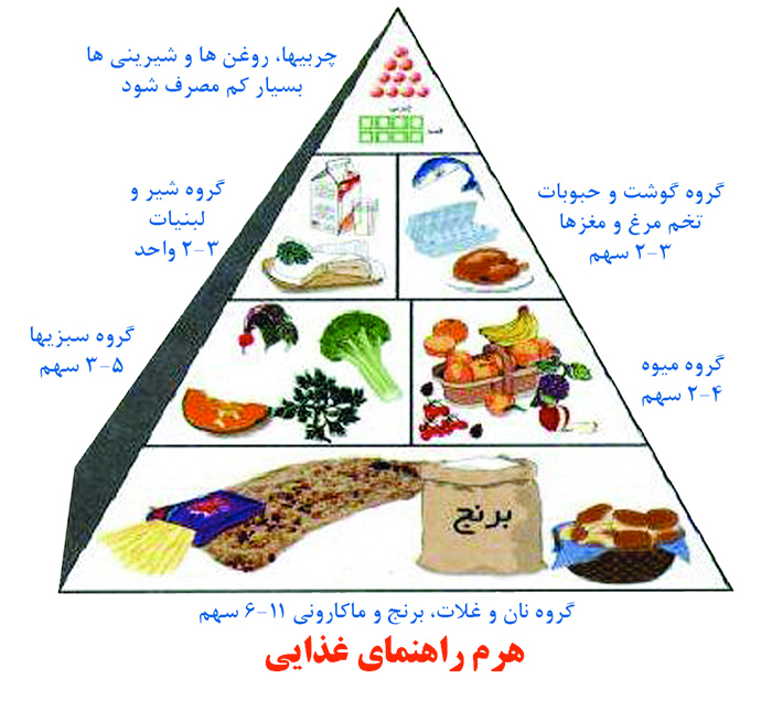 تغذیه و رژیم غذایی