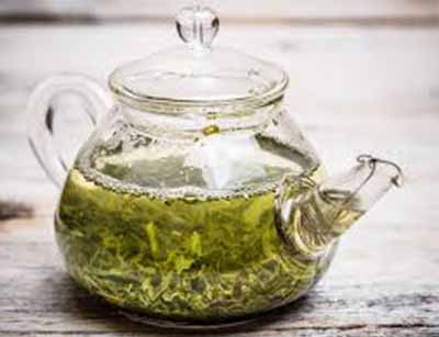 آموزش گیاهان دارویی