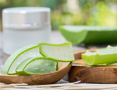 گیاهان دارویی