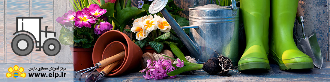 باغبانی گیاهان آپارتمانی